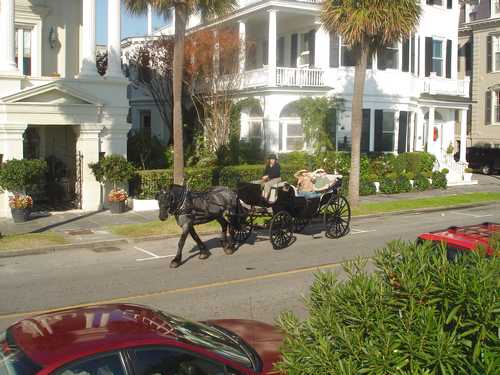 Horse and Buggy transportation in Charleston