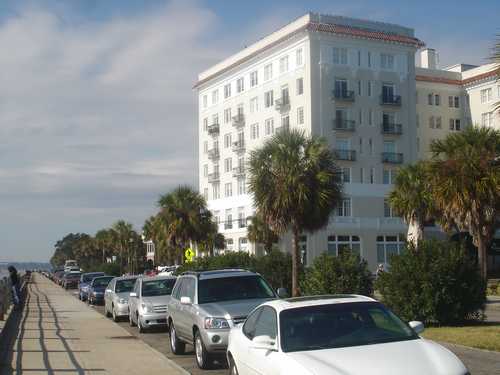 Tree lined waterfront street in Charleston, South Carolina